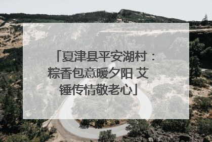 夏津县平安湖村：粽香包意暖夕阳 艾锤传情敬老心