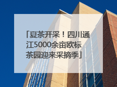 夏茶开采！四川通江5000余亩欧标茶园迎来采摘季