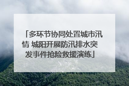 多环节协同处置城市汛情 城阳开展防汛排水突发事件抢险救援演练
