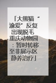 大熊猫“渝爱”反复出现脱毛 重庆动物园：暂时转移至非展示区静养治疗