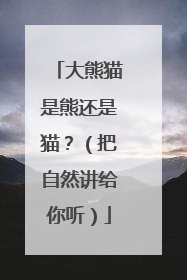 大熊猫是熊还是猫？（把自然讲给你听）
