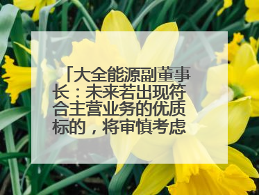 大全能源副董事长：未来若出现符合主营业务的优质标的，将审慎考虑并购机会