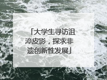 大学生寻访沮漳皮影，探求非遗创新性发展