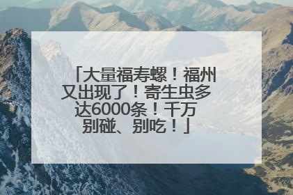 大量福寿螺！福州又出现了！寄生虫多达6000条！千万别碰、别吃！