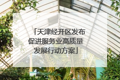 天津经开区发布促进服务业高质量发展行动方案