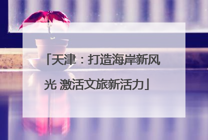 天津：打造海岸新风光 激活文旅新活力