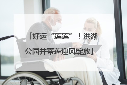 好运“莲莲”！洪湖公园并蒂莲迎风绽放