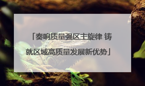 奏响质量强区主旋律 铸就区域高质量发展新优势