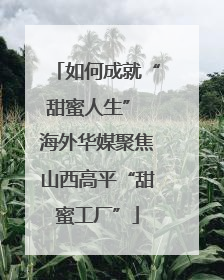 如何成就“甜蜜人生” 海外华媒聚焦山西高平“甜蜜工厂”