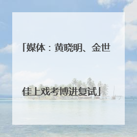 媒体：黄晓明、金世佳上戏考博进复试