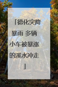 德化突降暴雨 多辆小车被暴涨的溪水冲走