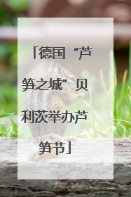 德国“芦笋之城”贝利茨举办芦笋节