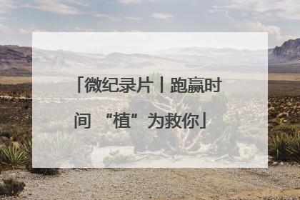 微纪录片丨跑赢时间 “植”为救你