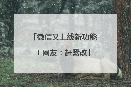 微信又上线新功能！网友：赶紧改