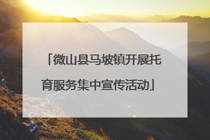 微山县马坡镇开展托育服务集中宣传活动