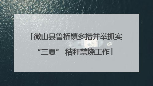 微山县鲁桥镇多措并举抓实 “三夏” 秸秆禁烧工作