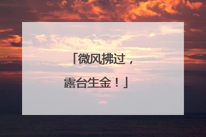 微风拂过，露台生金！