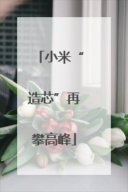 小米“造芯”再攀高峰