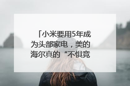 小米要用5年成为头部家电，美的海尔真的“不惧竞争”？｜热财经