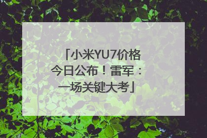 小米YU7价格今日公布！雷军：一场关键大考