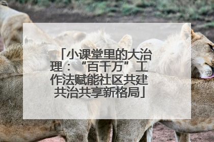 小课堂里的大治理：“百千万”工作法赋能社区共建共治共享新格局