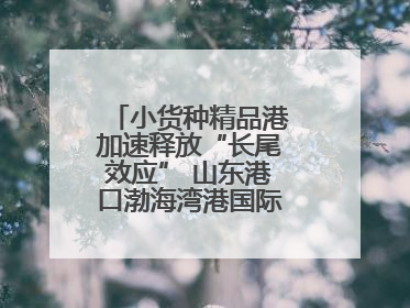 小货种精品港加速释放“长尾效应” 山东港口渤海湾港国际件杂货运业务