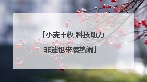 小麦丰收 科技助力 非遗也来凑热闹