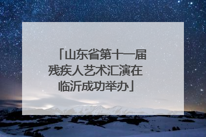 山东省第十一届残疾人艺术汇演在临沂成功举办