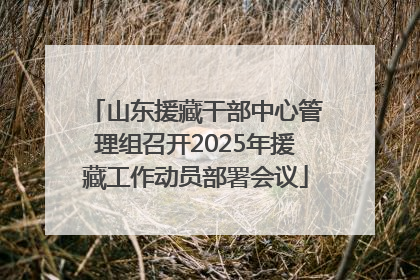 山东援藏干部中心管理组召开2025年援藏工作动员部署会议