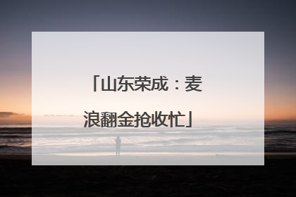 山东荣成：麦浪翻金抢收忙
