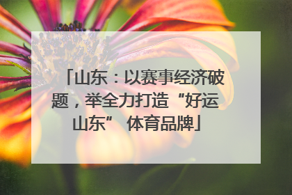 山东：以赛事经济破题，举全力打造“好运山东” 体育品牌