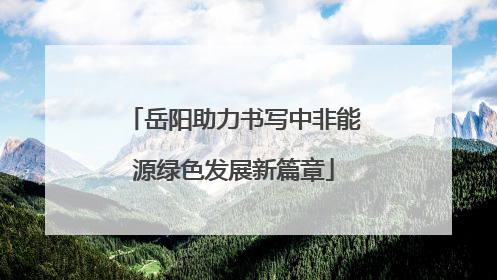 岳阳助力书写中非能源绿色发展新篇章