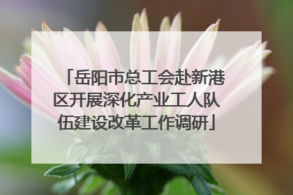 岳阳市总工会赴新港区开展深化产业工人队伍建设改革工作调研