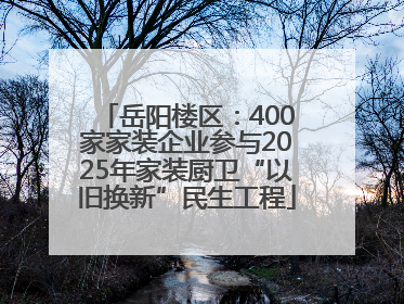 岳阳楼区：400家家装企业参与2025年家装厨卫“以旧换新”民生工程