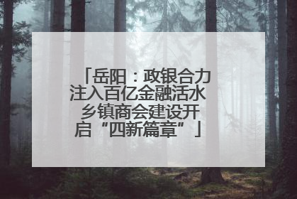 岳阳：政银合力注入百亿金融活水 乡镇商会建设开启“四新篇章”