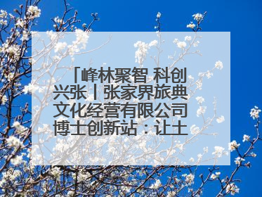 峰林聚智 科创兴张丨张家界旅典文化经营有限公司博士创新站：让土家织锦“智”造出非遗新传奇