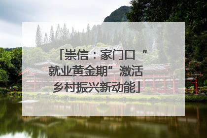 崇信：家门口“就业黄金期”激活乡村振兴新动能