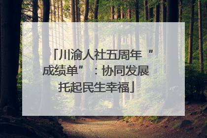 川渝人社五周年“成绩单”：协同发展托起民生幸福