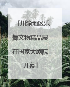 川渝地区乐舞文物精品展在国家大剧院开幕