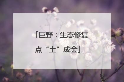 巨野：生态修复点“土”成金