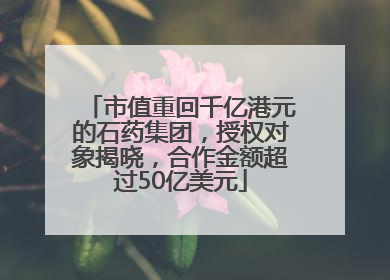 市值重回千亿港元的石药集团，授权对象揭晓，合作金额超过50亿美元