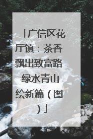 广信区花厅镇：茶香飘出致富路 绿水青山绘新篇（图）