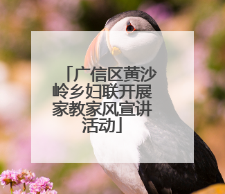广信区黄沙岭乡妇联开展家教家风宣讲活动