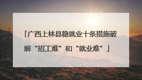 广西上林县稳就业十条措施破解“招工难”和“就业难”
