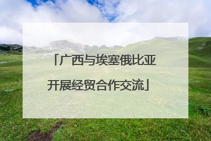 广西与埃塞俄比亚开展经贸合作交流