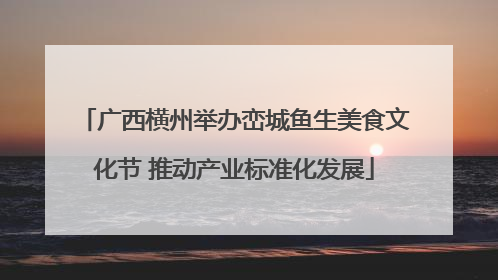 广西横州举办峦城鱼生美食文化节 推动产业标准化发展