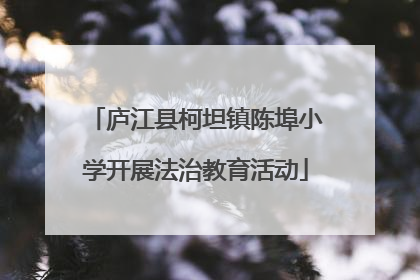 庐江县柯坦镇陈埠小学开展法治教育活动