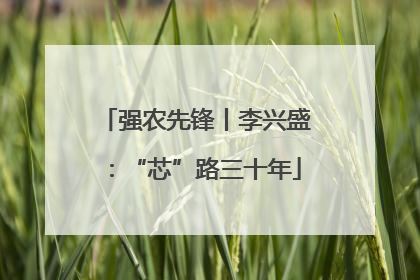 强农先锋丨李兴盛：“芯”路三十年