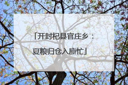 开封杞县官庄乡：夏粮归仓入廪忙