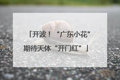 开波！“广东小花”期待天体“开门红”